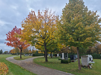 Herbst auf dem Friedhof