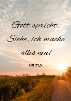 Wegmotiv mit Jahreslosung